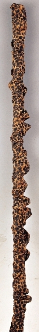 Cord cover